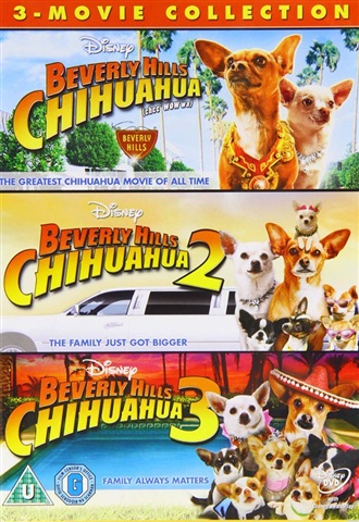 【中古】DVD▼M-1 グランプリ(17枚セット)2001、2002、2003、2004、2005、2006、2007、2008、2009、2010、2015、2016、2017、2018、2019、2020、2021▽レンタル落ち 全17巻 A/C Compressor MAN TGA, TGS & TGX 51779707028 - Truckparts 1919